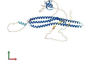 Protein Structure (PS) image for BAI1-Associated Protein 2-Like-1 (BAIAP2L1) (AA 1-511) protein (His tag) (ABIN7552586)