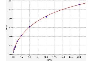 Typical standard curve (Hsc70 ELISA Kit)