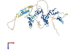 AlphaFold protein structure predicition of Human Recombinant ZNF697 Protein, UniprotID Q5TEC3 (ZNF697 Protein (AA 1-545) (His tag))