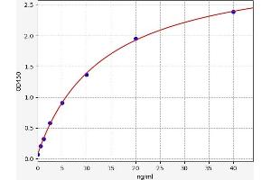 PARP1 ELISA Kit