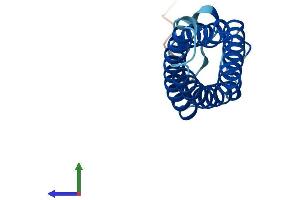 AlphaFold protein structure predicition of Mouse Recombinant Mal Protein, UniprotID O09198 (MAL Protein (AA 1-153) (His tag))