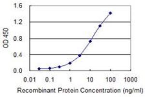 Detection limit for recombinant GST tagged SLC27A4 is 0. (SLC27A4 antibody  (AA 1-237))