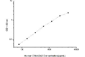 Typical standard curve (CSNK2A2 ELISA Kit)