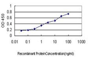 Detection limit for recombinant GST tagged STK6 is approximately 0. (Aurora A antibody  (AA 1-110))