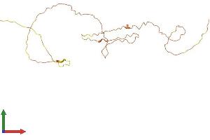 AlphaFold protein structure predicition of Human Recombinant CACTIN-AS1 Protein, UniprotID Q8N1I8 (CACTIN-AS1 Protein (AA 1-211) (His tag))