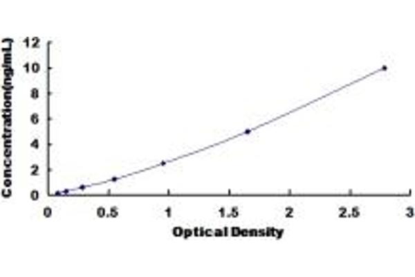 TRPM4 ELISA Kit