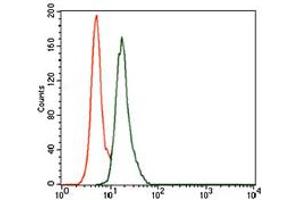 Image no. 2 for anti-BPI Fold Containing Family A, Member 2 (BPIFA2) antibody (ABIN1490989) (BPIFA2 antibody)