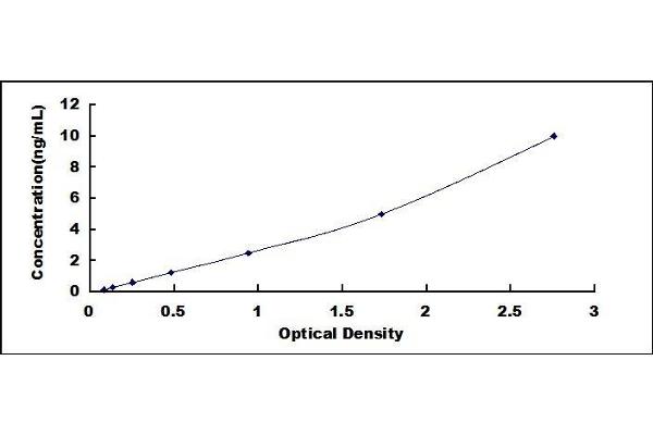 SPARC ELISA Kit