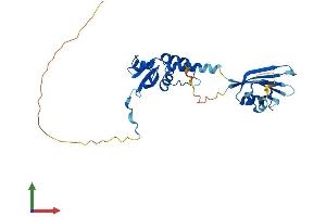 AlphaFold protein structure predicition of Mouse Recombinant Kctd15 Protein, UniprotID Q8K0E1 (KCTD15 Protein (AA 1-283) (His tag))