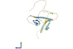 AlphaFold protein structure predicition of Human Recombinant UPF3B Protein, UniprotID Q9BZI7 (UPF3B Protein (AA 1-483) (His tag))