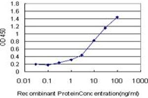 Detection limit for recombinant GST tagged STXBP1 is approximately 0. (STXBP1 antibody  (AA 74-168))