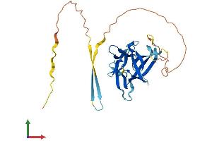 AlphaFold protein structure predicition of Mouse Recombinant Il33 Protein, UniprotID Q8BVZ5 (IL-33 Protein (AA 1-266) (His tag))
