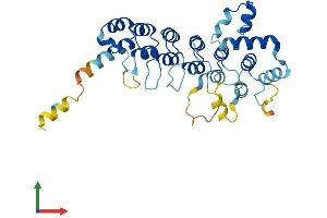 AlphaFold protein structure predicition of Human Recombinant ASB12 Protein, UniprotID Q8WXK4 (ASB12 Protein (AA 1-309) (His tag))