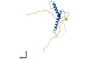 AlphaFold protein structure predicition of Human Recombinant TCF24 Protein, UniprotID Q7RTU0 (Transcription Factor 24 (TCF24) (AA 1-167) protein (His tag))