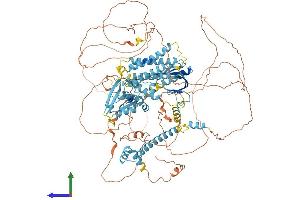 AlphaFold protein structure predicition of Mouse Recombinant Cnksr2 Protein, UniprotID Q80YA9 (CNKSR2 Protein (AA 1-1032) (His tag))