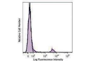 Flow Cytometry (FACS) image for anti-CD8b Molecule (CD8B) antibody (APC) (ABIN2658289) (CD8B antibody  (APC))