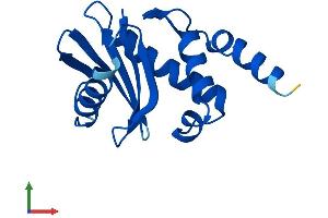 Protein Structure (PS) image for Adaptor Related Protein Complex 4 sigma 1 (AP4s1) (AA 1-144) protein (His tag) (ABIN7556328)
