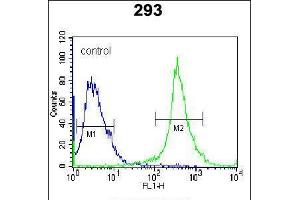 Flow cytometric analysis of 293 cells (right histogram) compared to a negative control cell (left histogram). (IL-27 antibody  (AA 57-87))