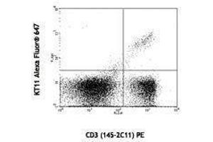 Flow Cytometry (FACS) image for anti-TCR V beta 11 antibody (Alexa Fluor 647) (ABIN2658017) (TCR V beta 11 antibody (Alexa Fluor 647))