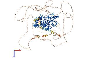 AlphaFold protein structure predicition of Human Recombinant DENND1A Protein, UniprotID Q8TEH3 (DENND1A Protein (AA 1-1009) (His tag))