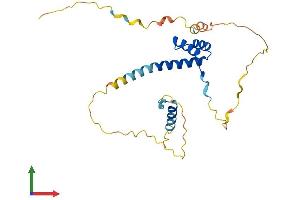 Protein Structure (PS) image for Paired Related Homeobox 2 (PRRX2) (AA 1-247) protein (His tag) (ABIN7556904)