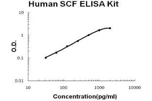 Human SCF PicoKine ELISA Kit standard curve (KIT Ligand ELISA Kit)
