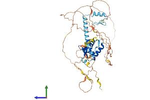 Protein Structure (PS) image for Forkhead Box P3 (FOXP3) (AA 1-431) protein (His tag) (ABIN7553935)