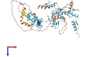 ZKSCAN3 Protein (AA 1-538) (His tag)