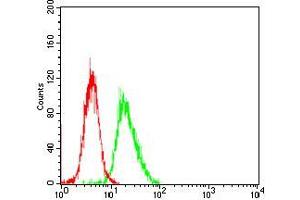 Flow cytometric analysis of NIH/3T3 cells using HH3 mouse mAb (green) and negative control (red). (Prokineticin Receptor 2 antibody  (AA 121-136))