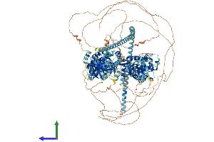 AlphaFold protein structure predicition of Mouse Recombinant Plekhh2 Protein, UniprotID Q8C115