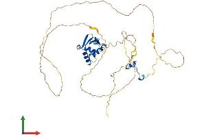 AlphaFold protein structure predicition of Mouse Recombinant Elk4 Protein, UniprotID P41158