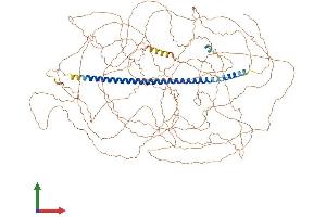 AlphaFold protein structure predicition of Human Recombinant SGO2 Protein, UniprotID Q562F6 (SGOL2 Protein (AA 1-1265) (His tag))