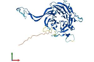 Protein Structure (PS) image for Protein Phosphatase 2, Regulatory Subunit B, beta (PPP2R2B) (AA 1-443) protein (His tag) (ABIN7558147)