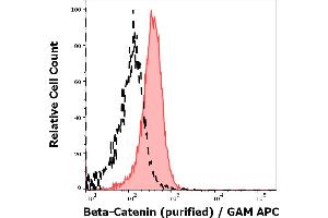 Separation of MCF-7 cells stained using anti-beta-Catenin (EM-22) purified antibody (concentration in sample 9 μg/mL, GAM APC, red-filled) from MCF-7 cells unstained by primary antibody (GAM APC, black-dashed) in flow cytometry analysis (intracellular staining). (beta Catenin antibody)