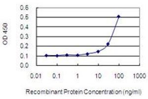 Detection limit for recombinant GST tagged NPHP3 is 3 ng/ml as a capture antibody. (NPHP3 antibody  (AA 106-205))