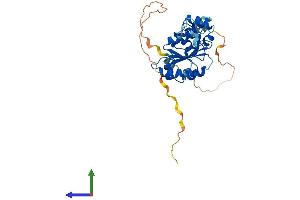 Protein Structure (PS) image for Excision Repair Cross Complementing Polypeptide-1 (ERCC1) (AA 1-297) protein (His tag) (ABIN7547482)