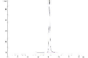 Size-exclusion chromatography-High Pressure Liquid Chromatography (SEC-HPLC) image for Interleukin 2 (IL2) (AA 21-153) protein (ABIN7274915)