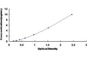 Typical standard curve (EPYC ELISA Kit)