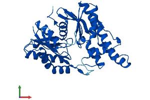 Protein Structure (PS) image for O-Sialoglycoprotein Endopeptidase (OSGEP) (AA 1-335) protein (His tag) (ABIN7550264)