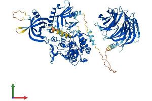 Protein Structure (PS) image for Neutral Sphingomyelinase (N-SMase) Activation Associated Factor (NSMAF) (AA 1-917) protein (His tag) (ABIN7553927)