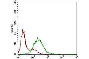 Flow cytometric analysis of Hela cells using SSTR3 mouse mAb (green) and negative control (red). (SSTR3 antibody  (AA 1-43))