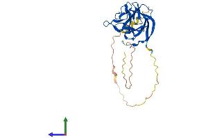 Protein Structure (PS) image for Fibroblast Growth Factor 14 (FGF14) (AA 1-247) protein (His tag) (ABIN7556710)