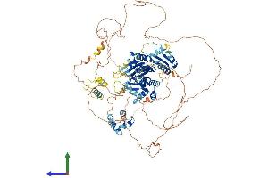 AlphaFold protein structure predicition of Human Recombinant BICC1 Protein, UniprotID Q9H694