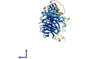 AlphaFold protein structure predicition of Human Recombinant FBXW5 Protein, UniprotID Q969U6 (FBXW5 Protein (AA 1-566) (His tag))