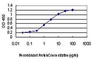 Detection limit for recombinant GST tagged MAPKAPK3 is approximately 0. (MAPKAP Kinase 3 antibody  (AA 272-382))