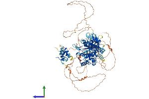 AlphaFold protein structure predicition of Mouse Recombinant Otud7b Protein, UniprotID B2RUR8 (OTUD7B Protein (AA 1-840) (His tag))