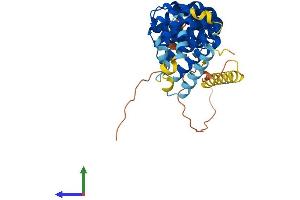 Protein Structure (PS) image for Armadillo Repeat Containing, X-Linked 3 (ARMCX3) (AA 1-379) protein (His tag) (ABIN7552246)