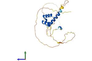 AlphaFold protein structure predicition of Mouse Recombinant Hoxc6 Protein, UniprotID P10629 (Homeobox C6 Protein (HOXC6) (AA 1-235) (His tag))