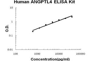 Human ANGPTL4 PicoKine ELISA Kit standard curve (ANGPTL4 ELISA Kit)