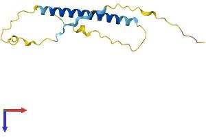 AlphaFold protein structure predicition of Human Recombinant TSACC Protein, UniprotID Q96A04 (TSACC/C1orf182 Protein (AA 1-125) (His tag))